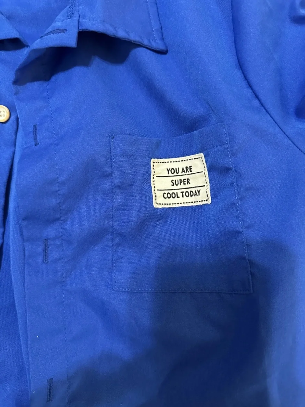 Shirt - Picture 4 of 6